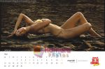 Cloud Nine bikini calendar pictures (5).jpg